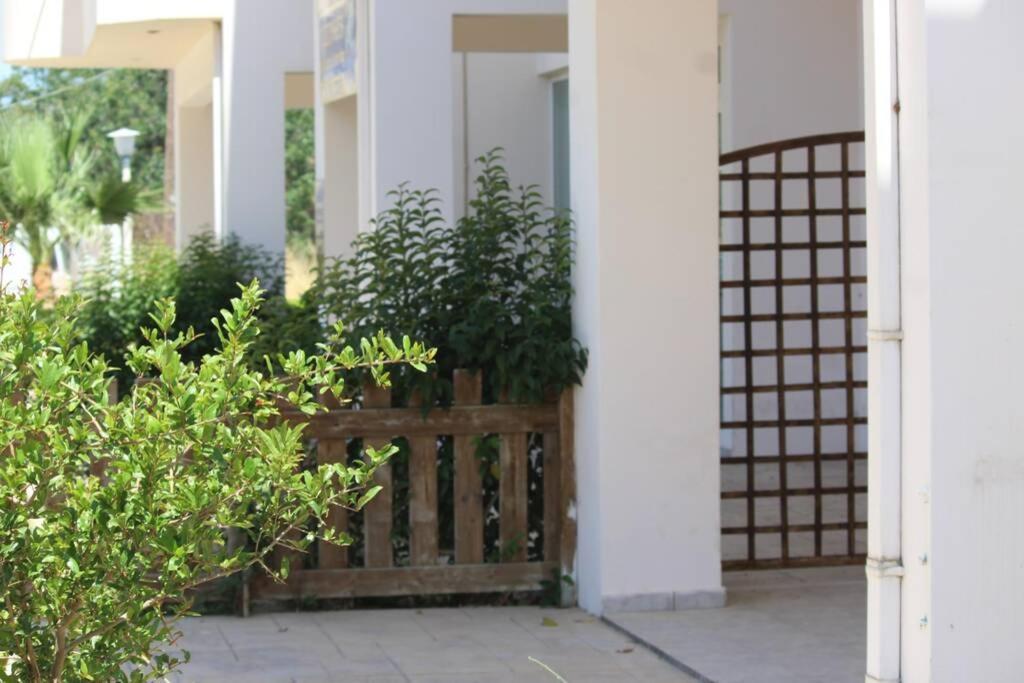 Spacious & Cozy Apartment, With Big Yard, In Kos Buitenkant foto